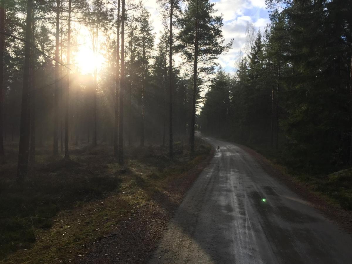 Triangle Cabin Laitila Zewnętrze zdjęcie