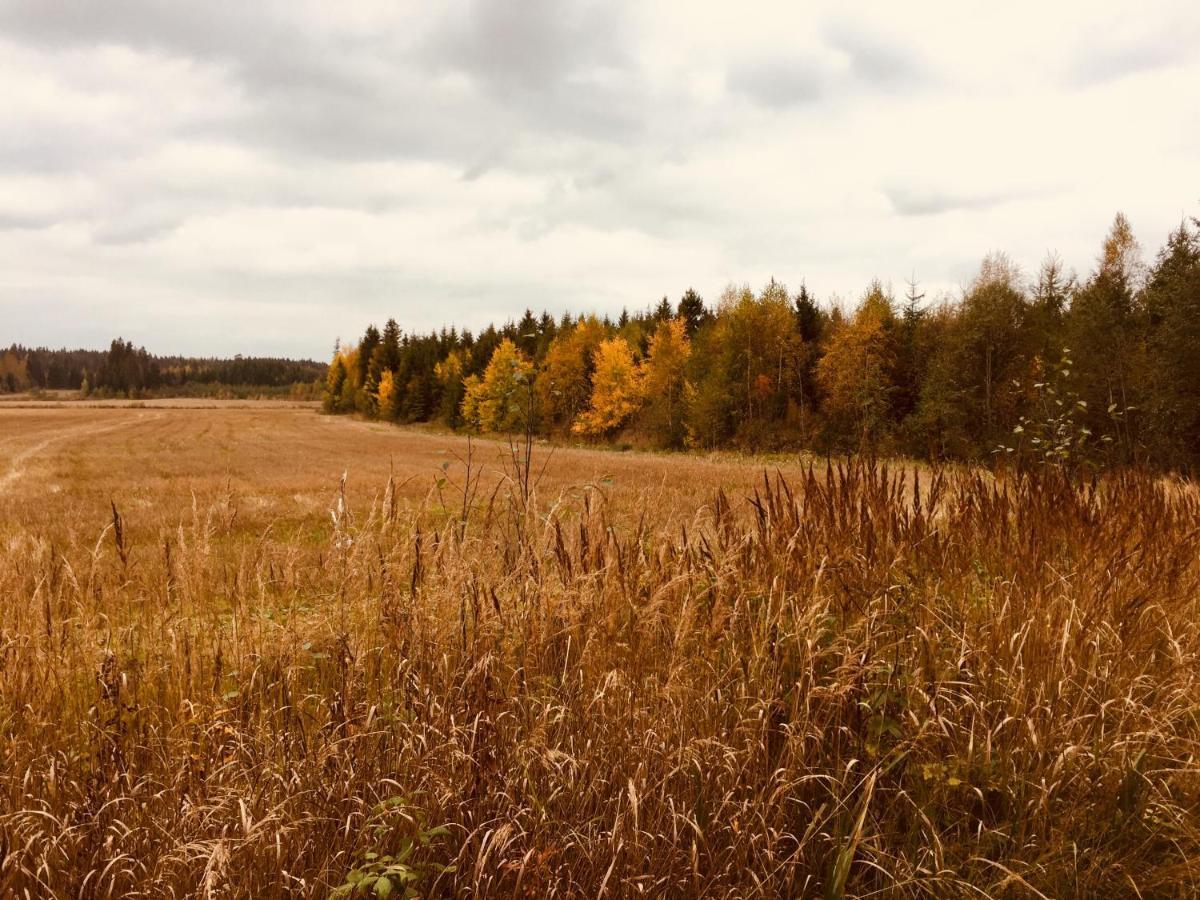 Triangle Cabin Laitila Zewnętrze zdjęcie